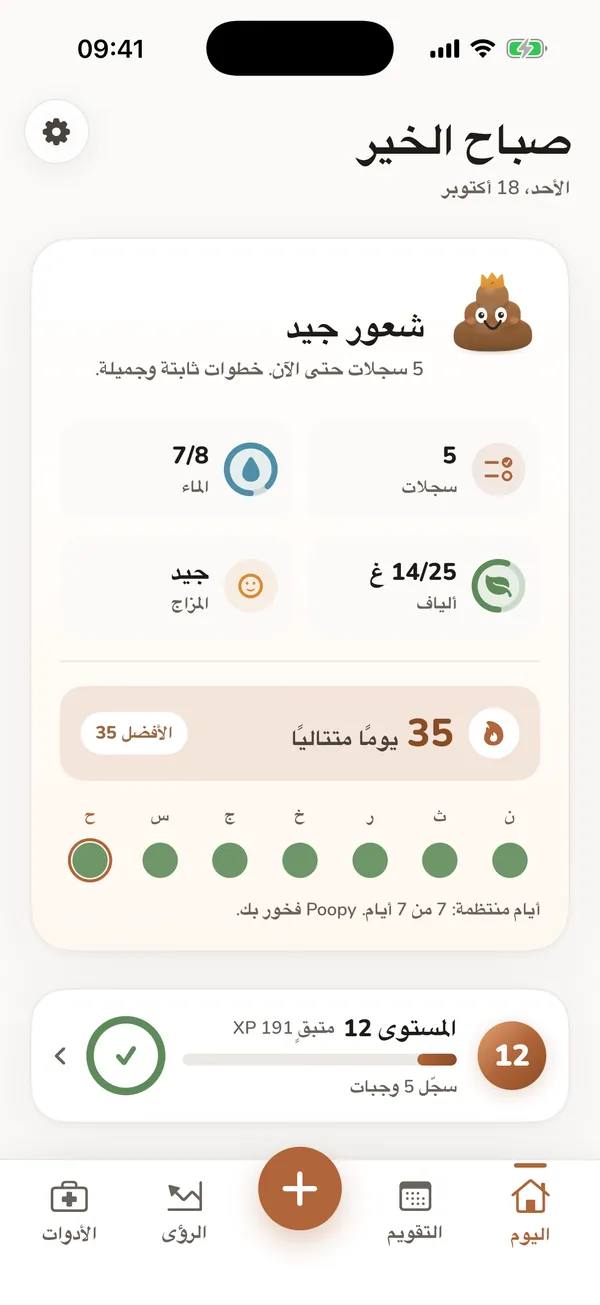 شاشة «اليوم» مع إدخالات نموذجية وإجمالي الماء وسلسلة تسجيل.